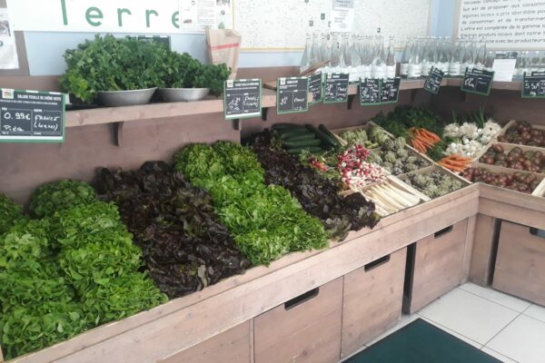 PHOTO-2023-06-17-09-15-16. Étals de légumes magasin Terres Lyonnaises Bron