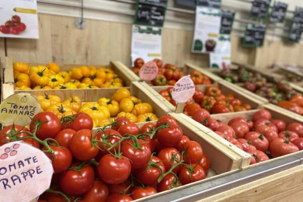 Étals tomates Terres Lyonnaises Bugeaud