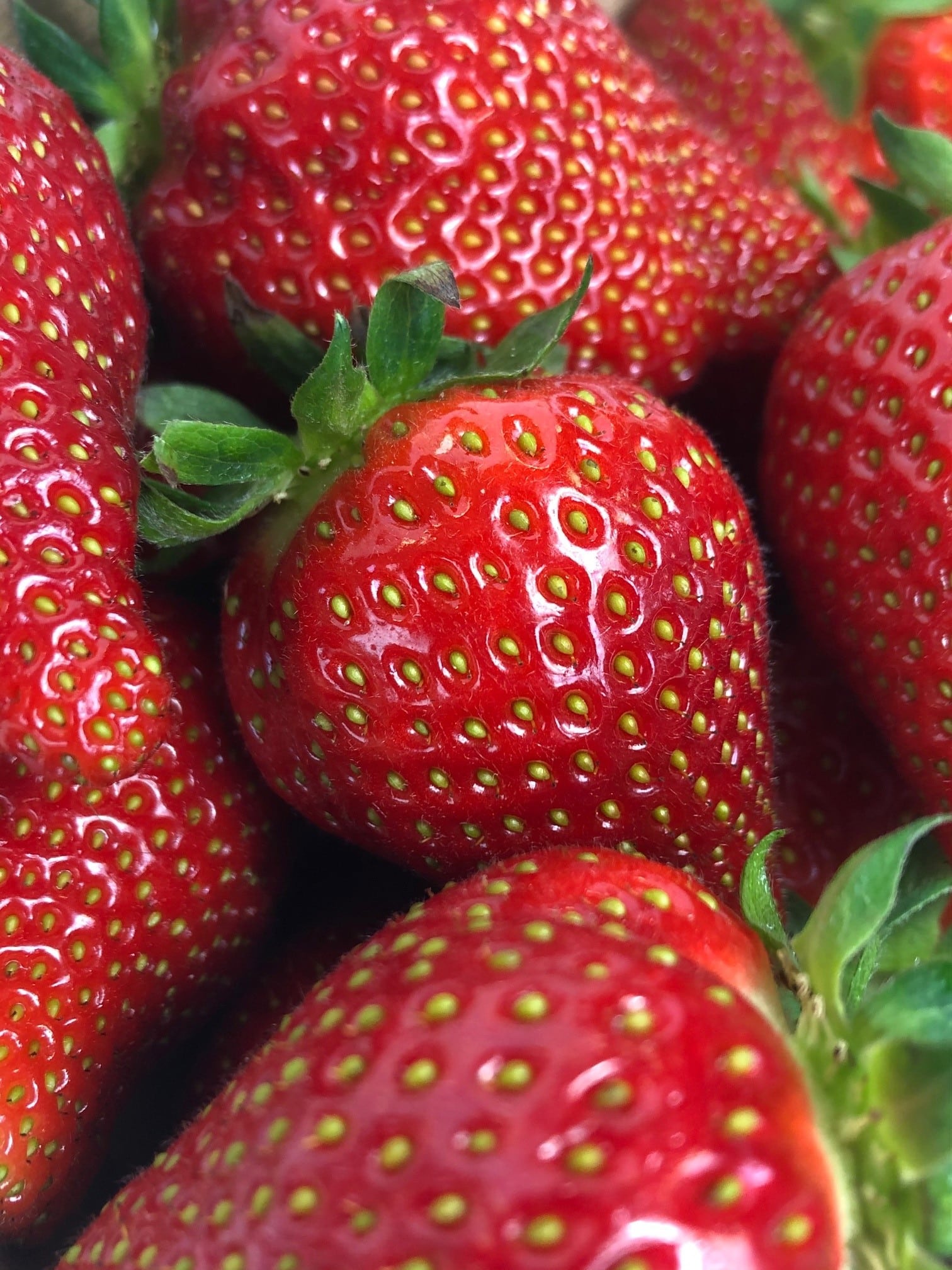 LA VERRINE  FRAISES / SPECULOOS