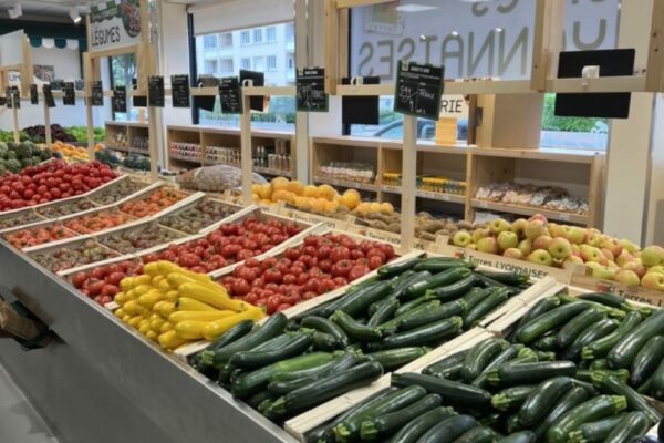 légumes terres lyonnaises