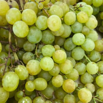 Raisin blanc local