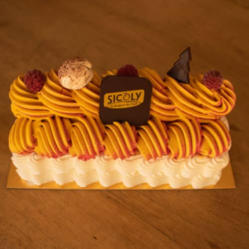 Bûche glacée passion/framboise