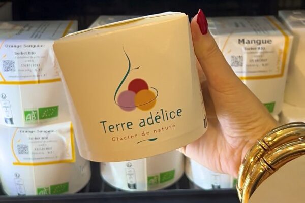 glace terre adélice glace terre adélice